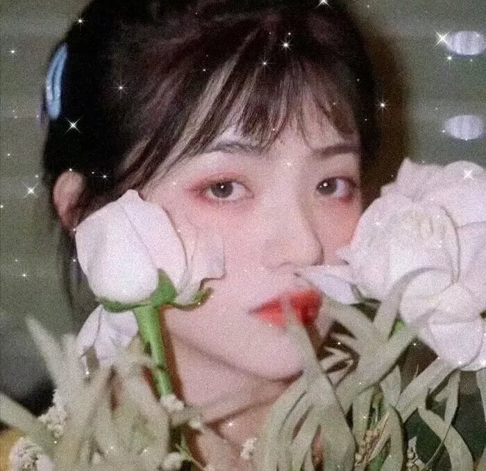 古巴春色 封面